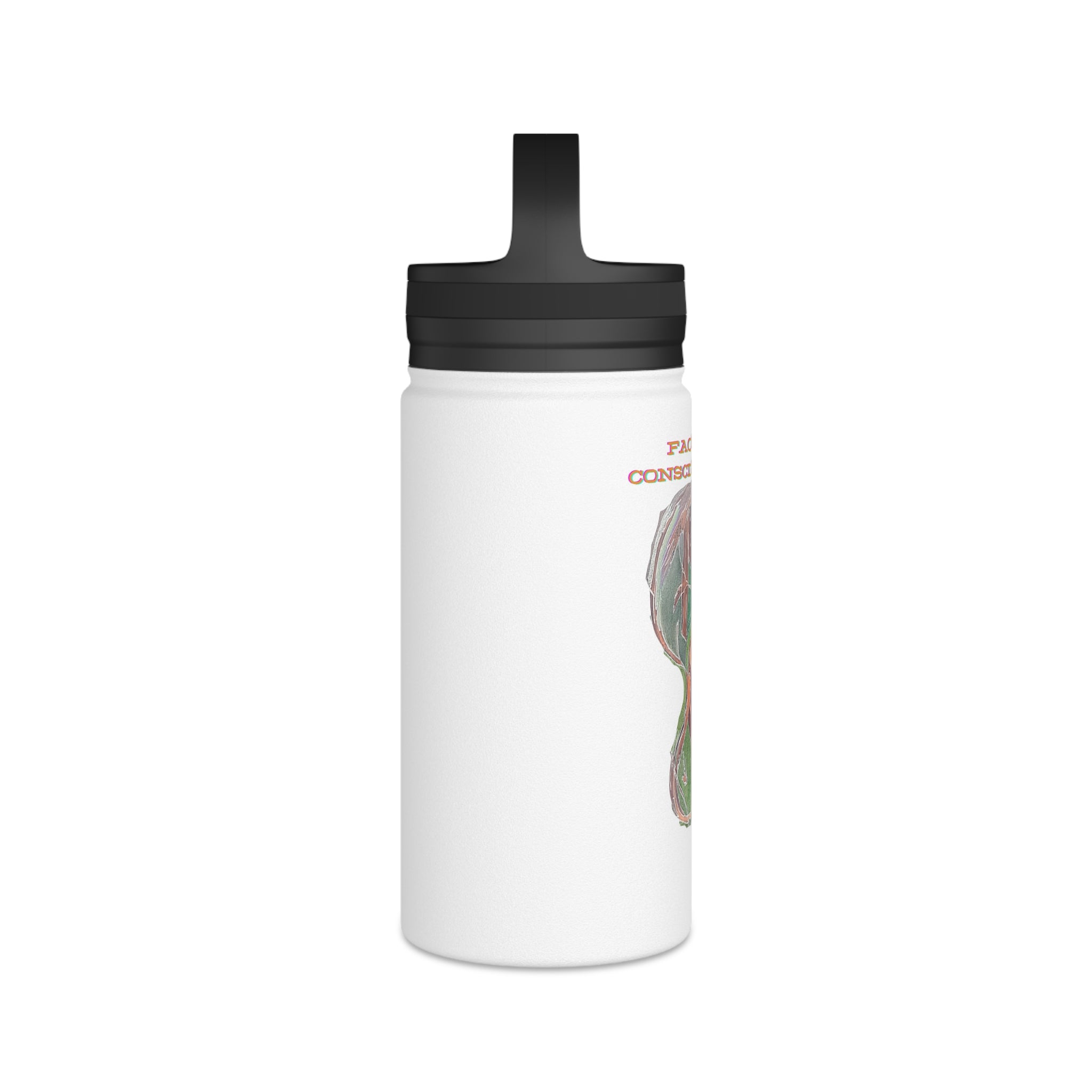Stainless Steel Water Bottle, Handle Lid