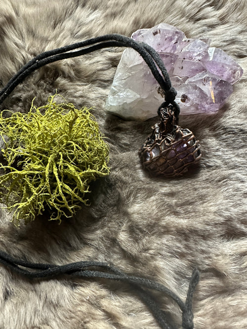 Field of Consciousness